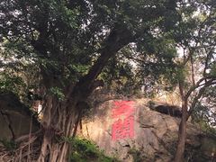 -乌山风景区