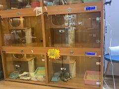 -Pets First伊珊娜洗护·精致美容·家庭式寄养(新会路店)