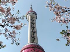-东方明珠广播电视塔