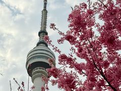 -龟山风景区-龟山电视塔