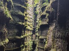 -梭布垭石林景区