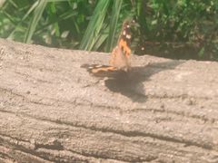 -白云山风景名胜区