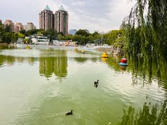-团结湖公园