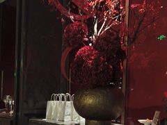 -星·South Beauty·俏江南(国贸店)