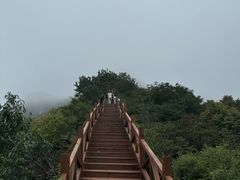 -大岭沟猕猴桃谷风景区