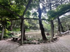 -叶家花园