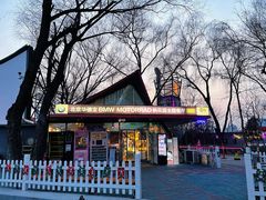 -枫花园汽车电影院(朝阳公园店)