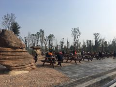 -枫香湖儿童公园