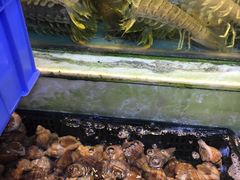 -旺富东海大酒楼(海鲜街店)