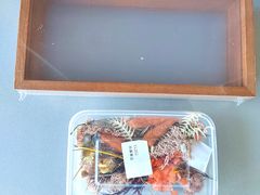 -北京之星奔驰4S店(亦庄店)