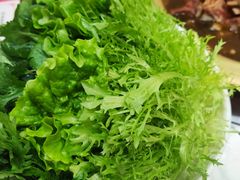 青菜拼盘-德羊府老北京羊蝎子火锅