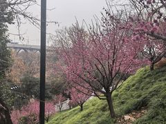 -龟山风景区-龟山电视塔