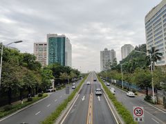 -莲花公园煎蟹(总店)