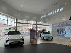 -北汽鹏龙ARCFOX极狐(国贸店)
