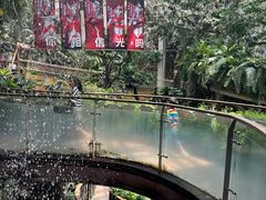 -正佳雨林生态植物园