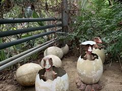 -呀路古热带植物园