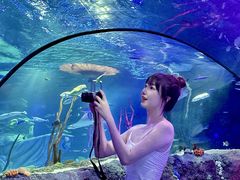 -沈阳海洋探索中心