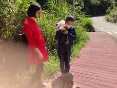 -广州市石门国家森林公园