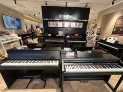 -雅歌音乐培训中心·钢琴培训·乐器培训(交道口店)