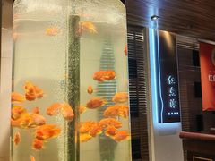 -红鱼湾餐厅(国际大厦店)