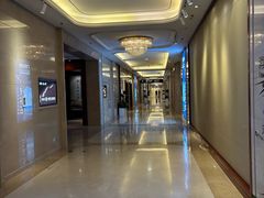 -郑州新郑国际机场T2航站楼-贵宾厅B区