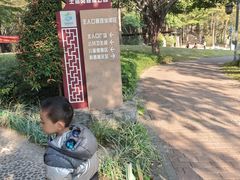 -王借岗森林公园
