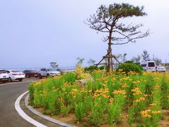 -青岛银沙滩