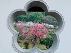-无锡梅园公园