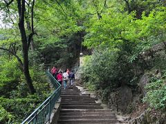-黔灵山公园