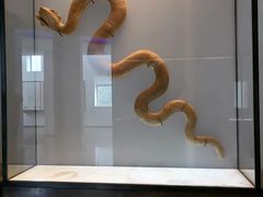 -巴尔多国家博物馆