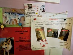 -Husky Go! 哈士奇体验馆·宠物咖啡厅狗咖