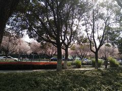 -昆山城市生态森林公园