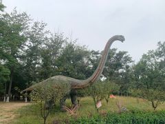 -青龙湖公园