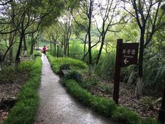 -鱼凫国都大酒店温泉