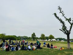 -苏州太湖国家湿地公园