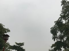 -眉山湿地公园(东坡区)