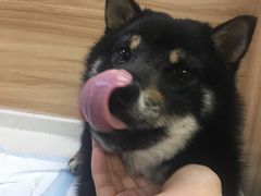 -联合动物医院(光谷诊疗中心)