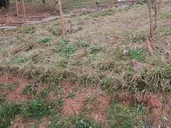 -中国香山·寿香谷