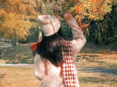 -合肥滨湖国家森林公园