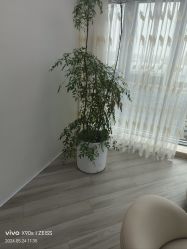-HEYAN荷妍专业脱毛连锁机构