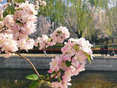 -元大都城垣遗址公园