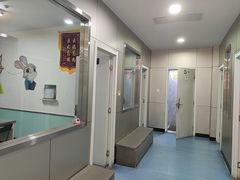 -特一安24小时宠物医院·骨科·中兽医