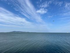 -悦海公园