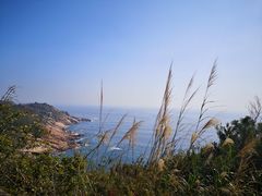 -广东惠东海龟国家级自然保护区
