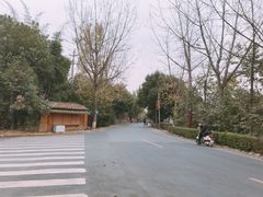 -三圣花乡旅游区