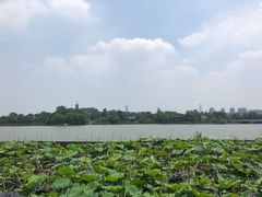 -杭州半山国家森林公园