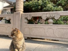 -西园戒幢律寺