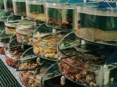 -仙螺岛海鲜自助餐厅(总店)