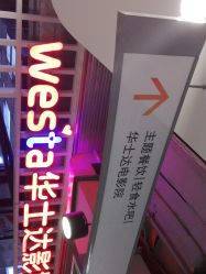 -Ly形象设计