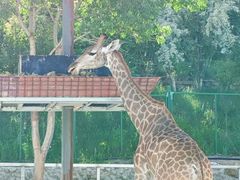 -水上乐园·欢乐世界